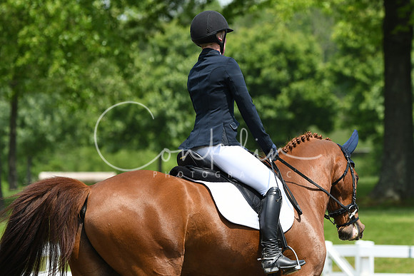 HSM_0256