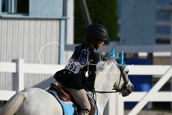 HSM_1195