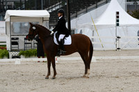 HSM_0346