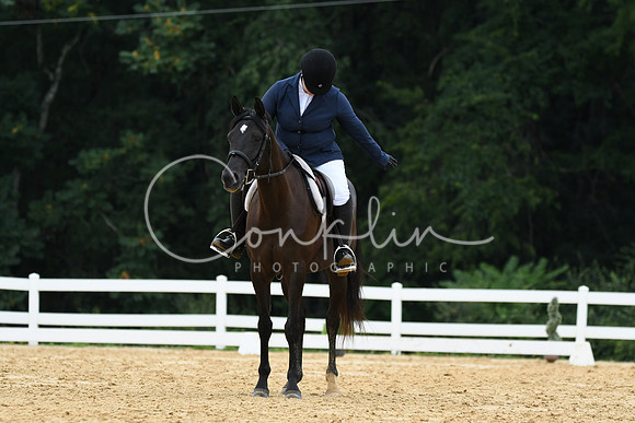 HSM_0208