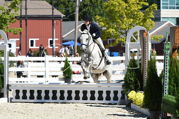 HSM_2820
