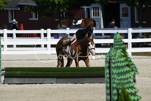HSM_4028