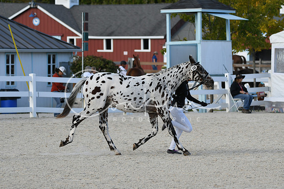 HSM_5495