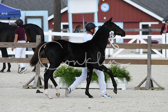 HSM_5149