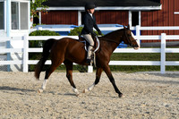 HSM_4551