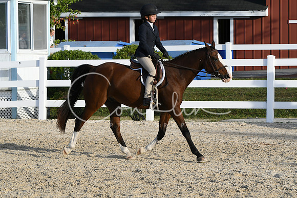 HSM_4551