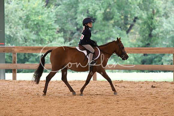 HSM_4928
