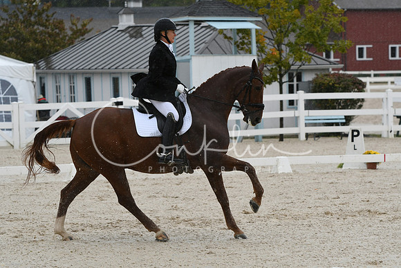 HSM_0378
