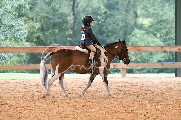 HSM_4262