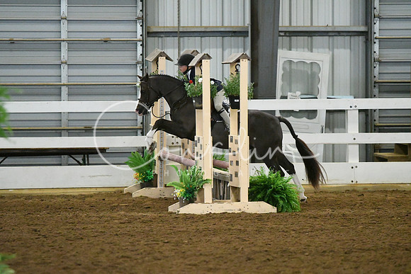 HSM_5186