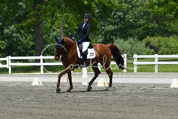 HSM_0260
