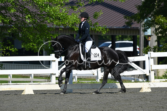 HSM_1157