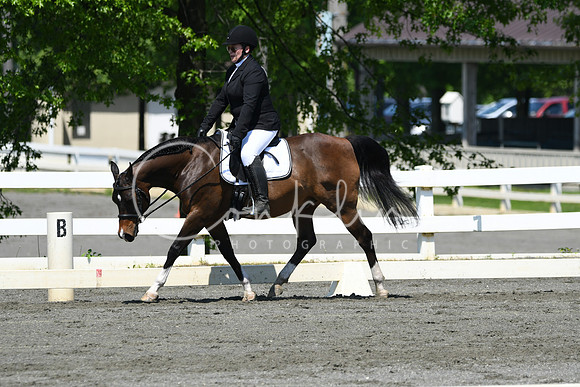 HSM_1292