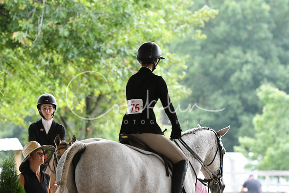 HSM_2943