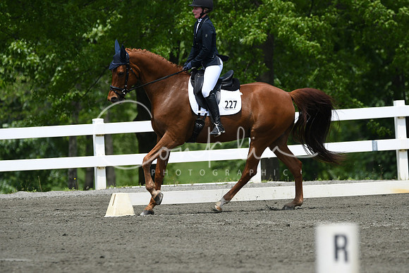 HSM_0274