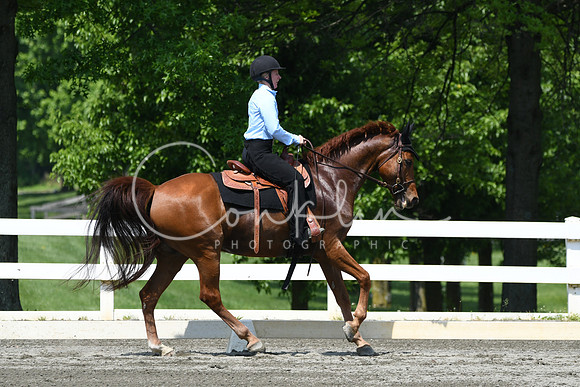 HSM_2856