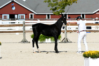 HSM_5119