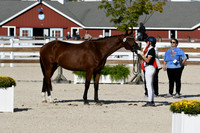 HSM_5334