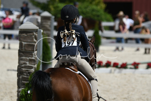 HSM_2955