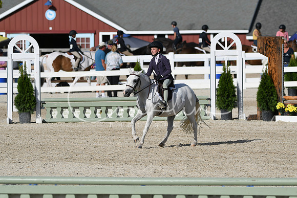 HSM_4245