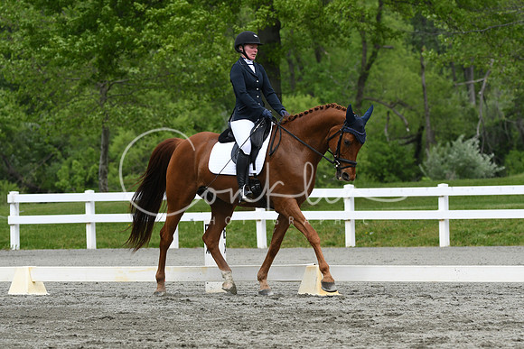 HSM_0582