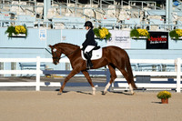HSM_4222
