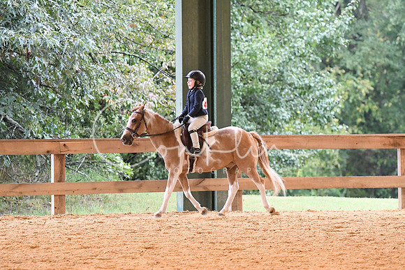 HSM_4476