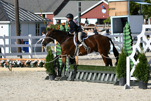 HSM_4273