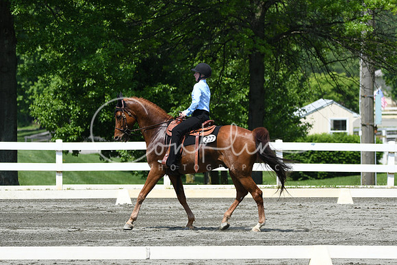 HSM_2853
