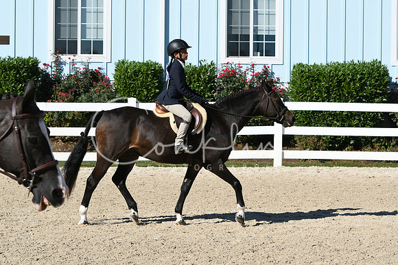 HSM_2314