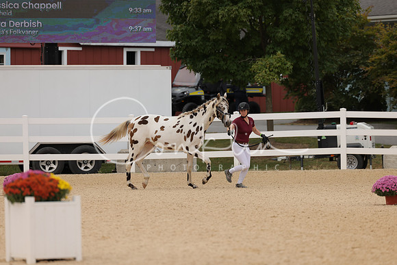 HLK_0284