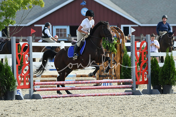 HSM_1581