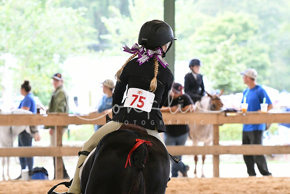 HSM_6047
