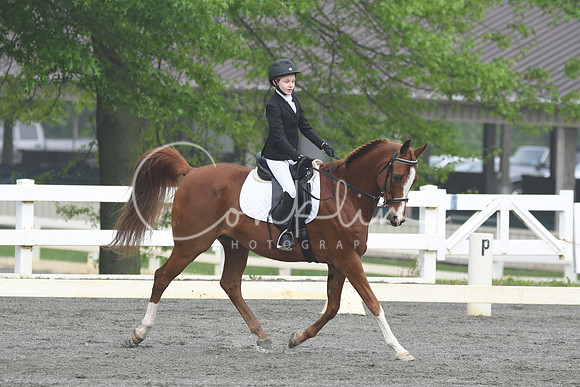 HSM_0899