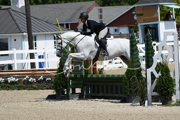 HSM_6619
