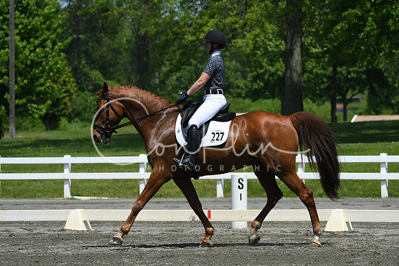 HSM_2028