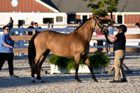 HSM_5642