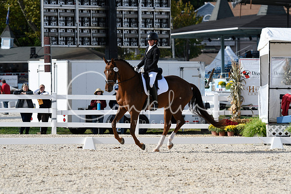 _TJP9205