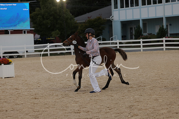 HLK_2352