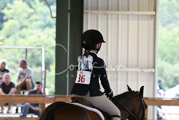 HSM_6265
