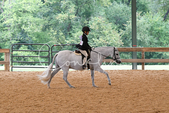 HSM_4978