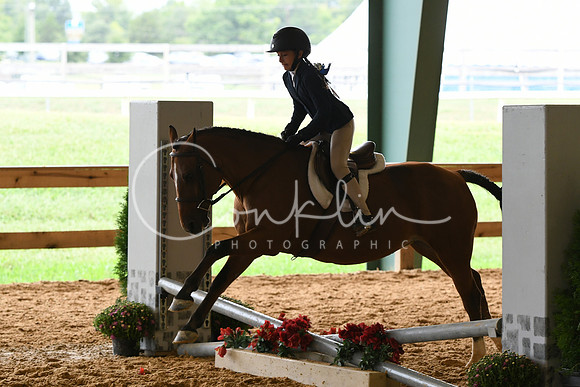 HSM_7297