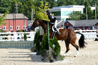HSM_5973