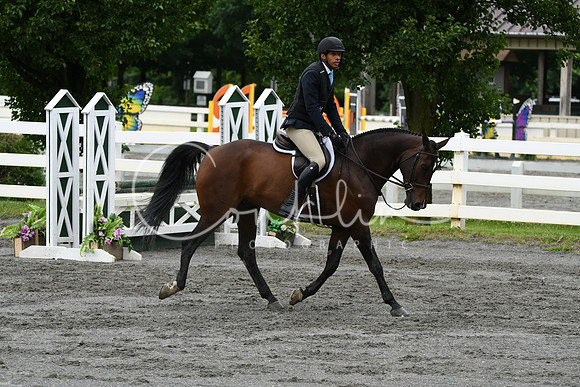 HSM_4101