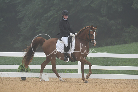HSM_0733