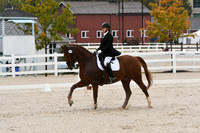 HSM_0344