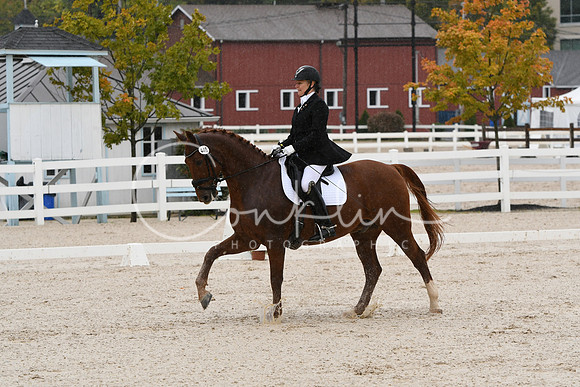 HSM_0344