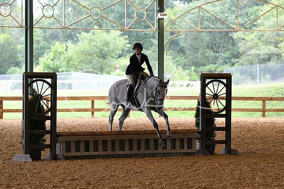 HSM_1207