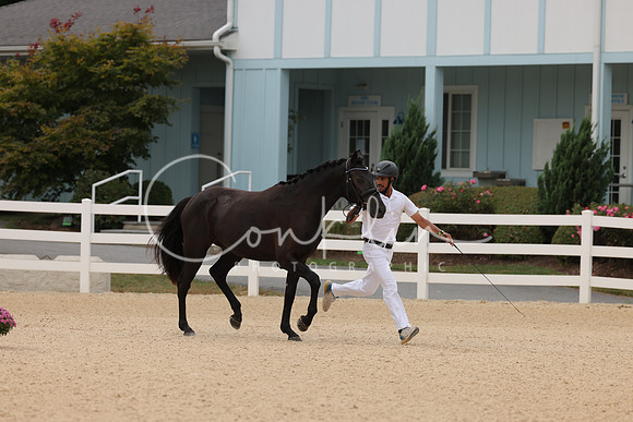 HLK_0483