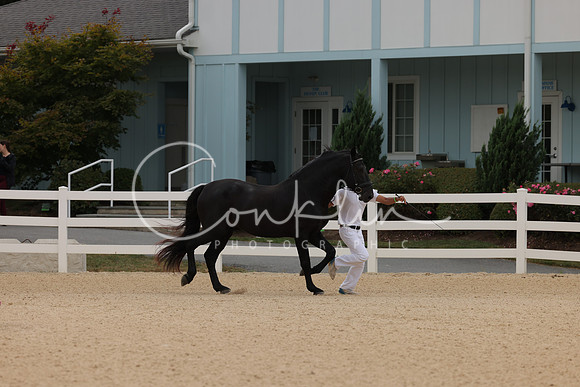 HLK_0531